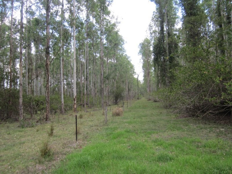 624 Tabulam Road, Tabulam NSW 2469