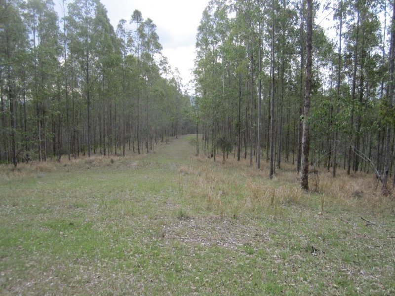 624 Tabulam Road, Tabulam NSW 2469