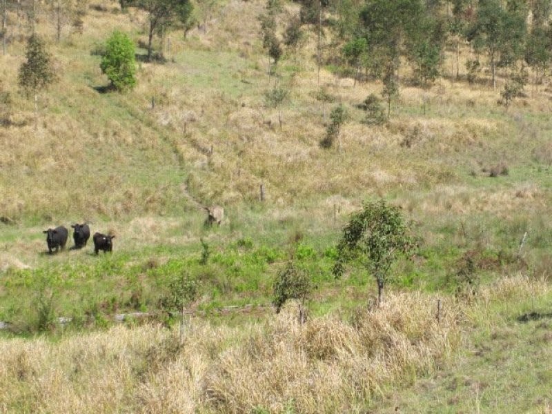 624 Tabulam Road, Tabulam NSW 2469