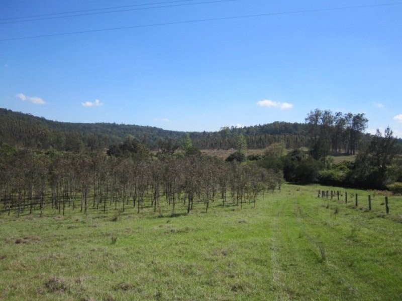 624 Tabulam Road, Tabulam NSW 2469