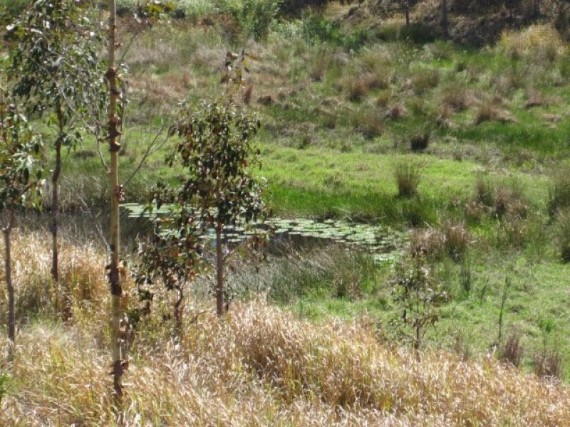 624 Tabulam Road, Tabulam NSW 2469