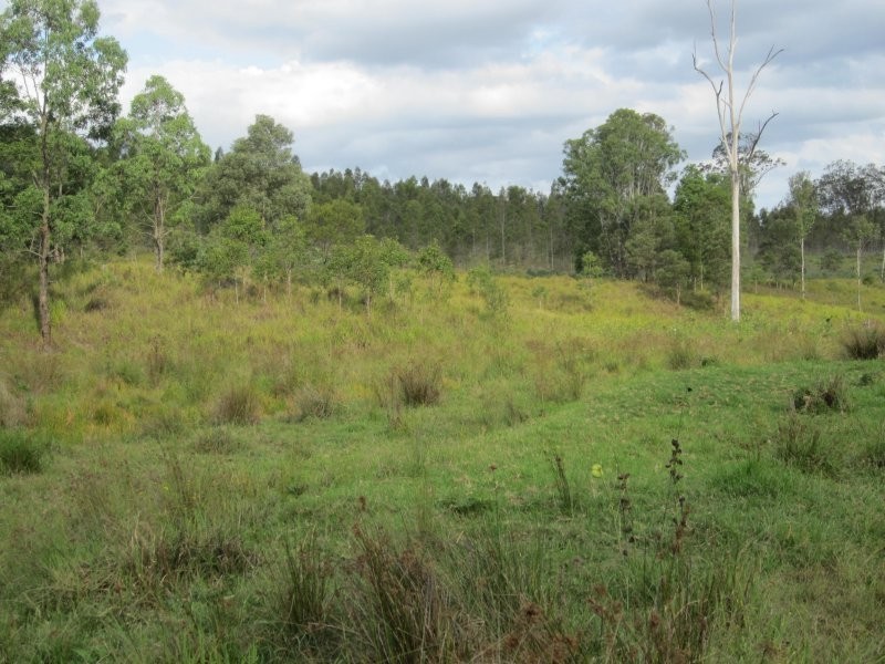 624 Tabulam Road, Tabulam NSW 2469