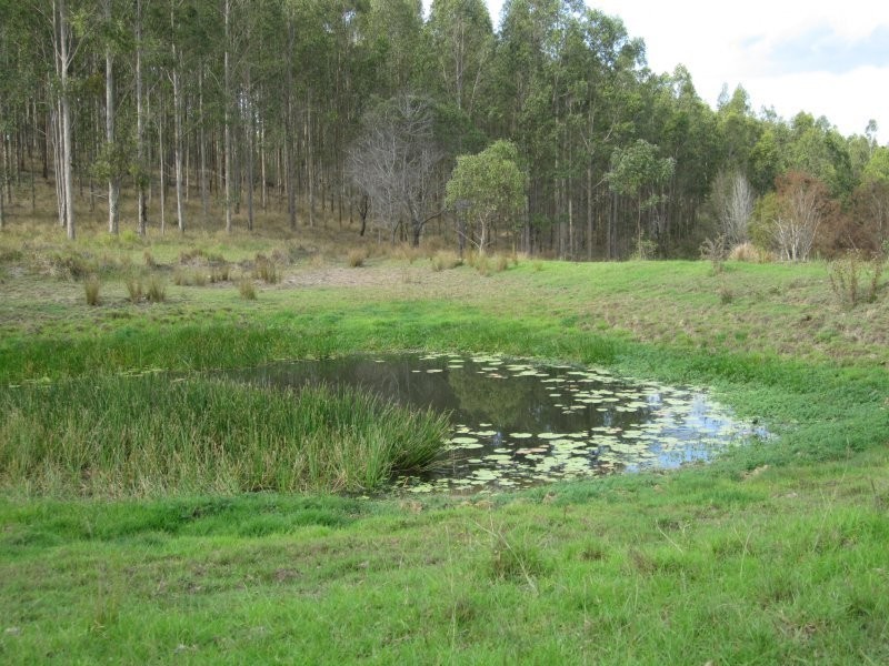 624 Tabulam Road, Tabulam NSW 2469