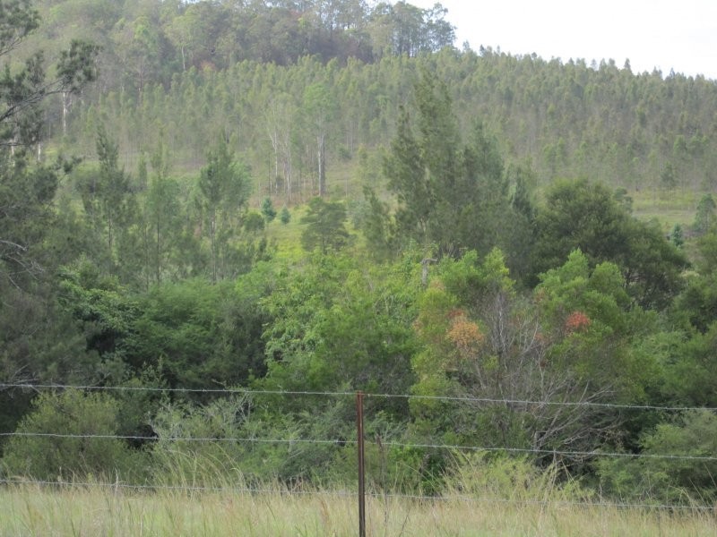 624 Tabulam Road, Tabulam NSW 2469