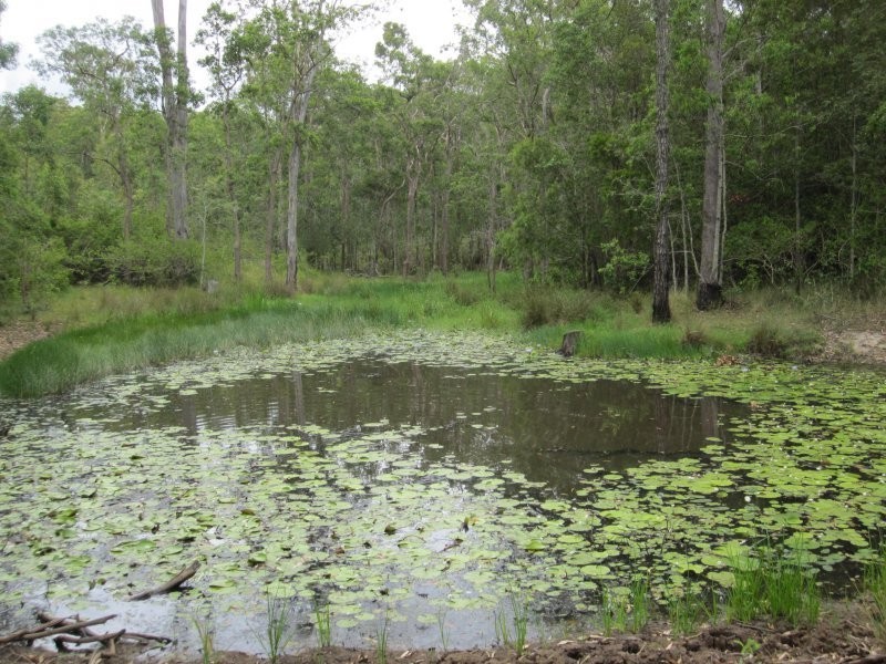 2475 Old Tenterfield Road, Rappville NSW 2469