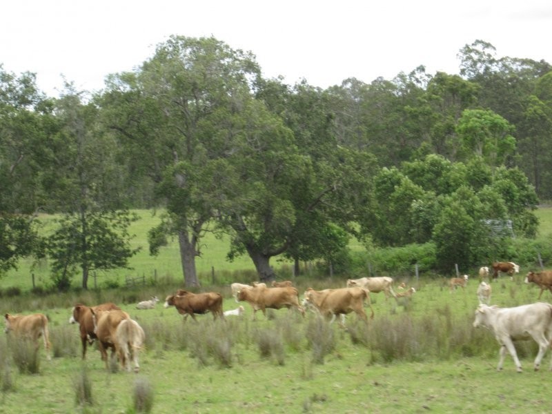 2475 Old Tenterfield Road, Rappville NSW 2469