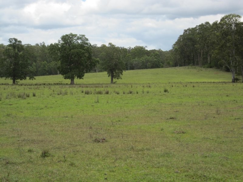 2475 Old Tenterfield Road, Rappville NSW 2469