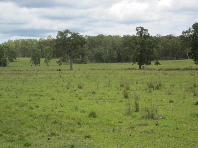 2475 Old Tenterfield Road, Rappville NSW 2469