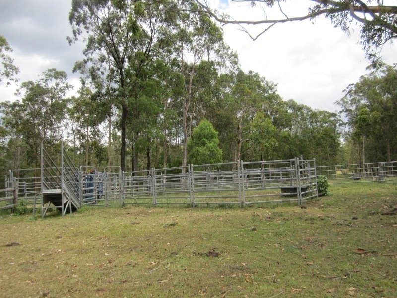 2475 Old Tenterfield Road, Rappville NSW 2469