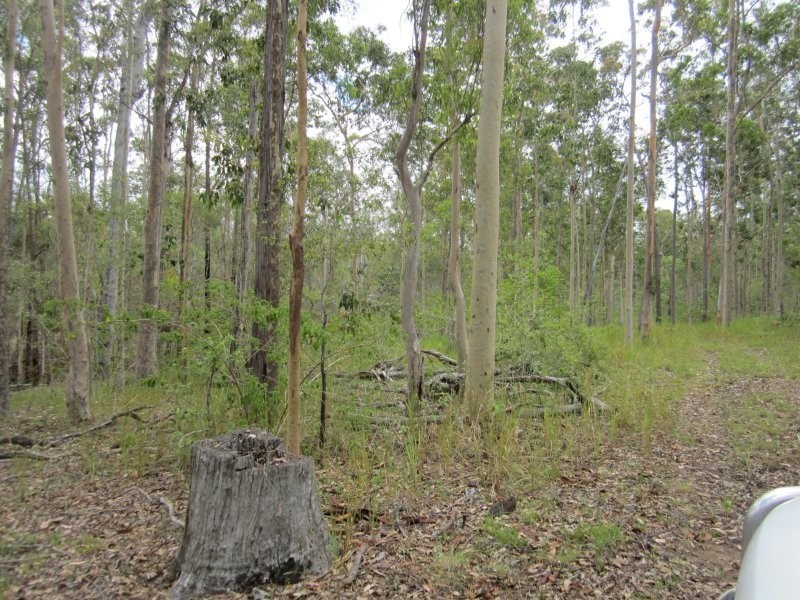 2475 Old Tenterfield Road, Rappville NSW 2469