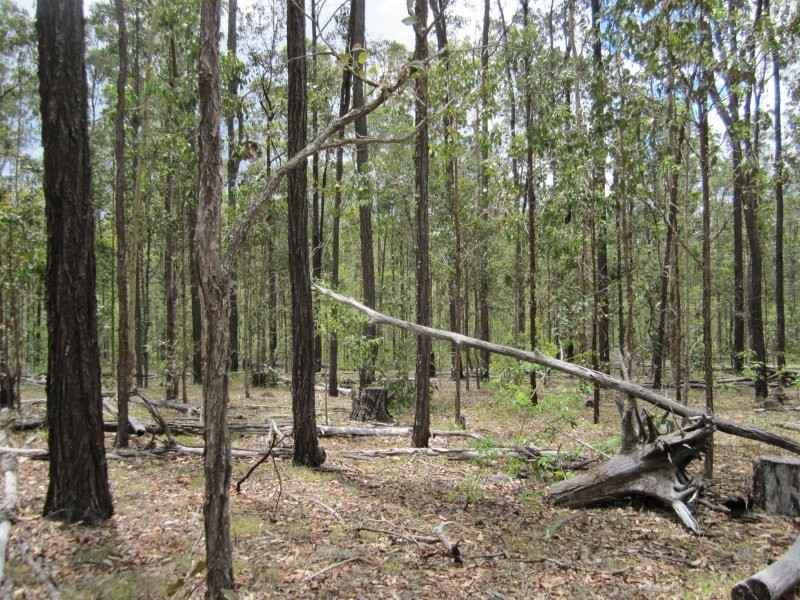 2475 Old Tenterfield Road, Rappville NSW 2469