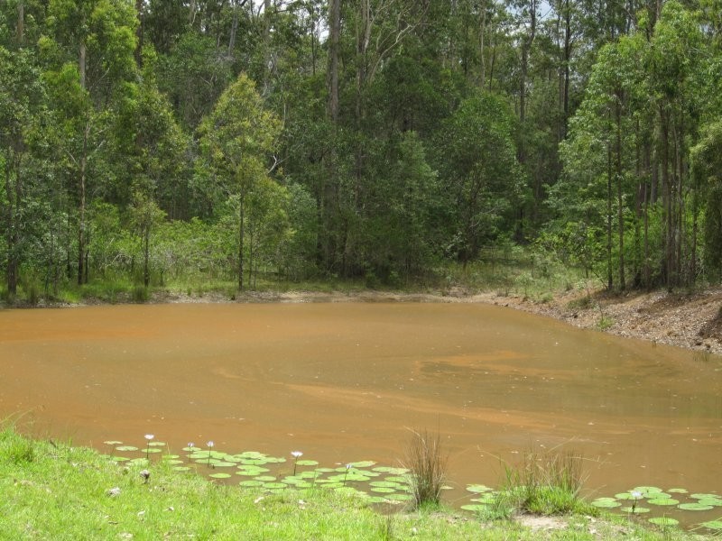 2475 Old Tenterfield Road, Rappville NSW 2469