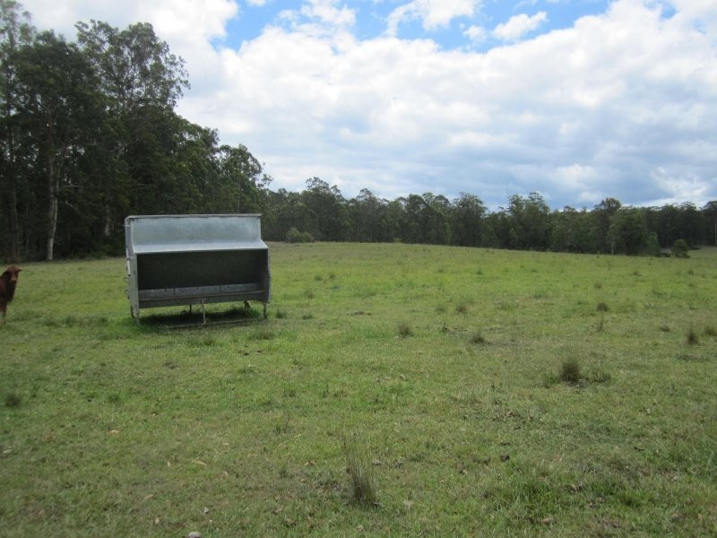 2475 Old Tenterfield Road, Rappville NSW 2469