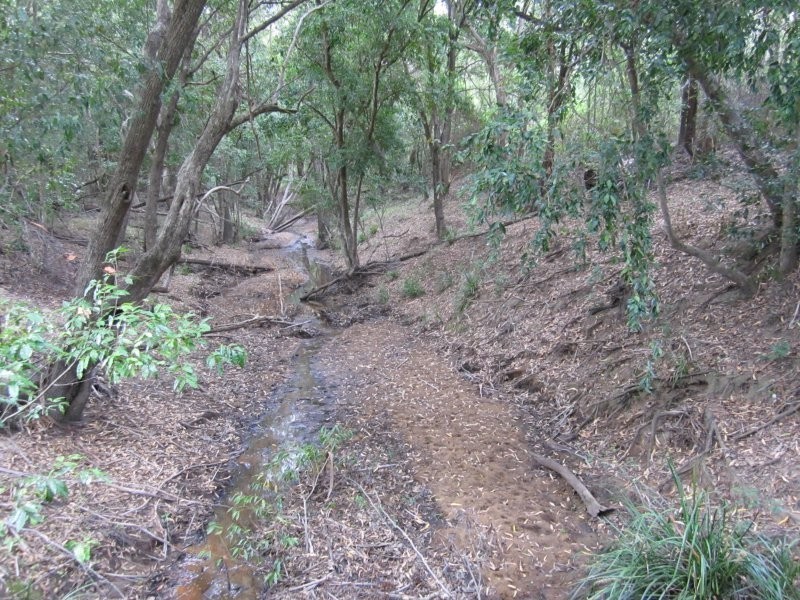 2475 Old Tenterfield Road, Rappville NSW 2469