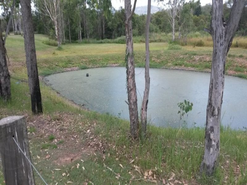 2455 Busbys Flat Road, Busbys Flat NSW 2469