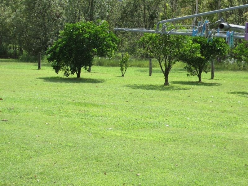 2455 Busbys Flat Road, Busbys Flat NSW 2469