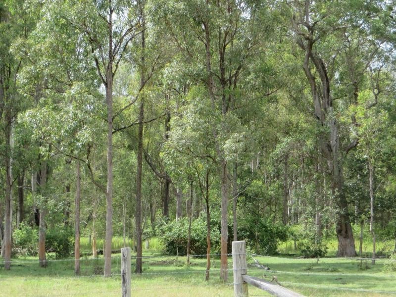 2475b Old Tenterfield Road, Wyan, Rappville NSW 2469