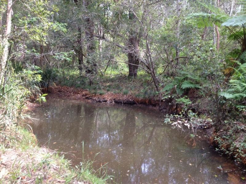 2475b Old Tenterfield Road, Wyan, Rappville NSW 2469