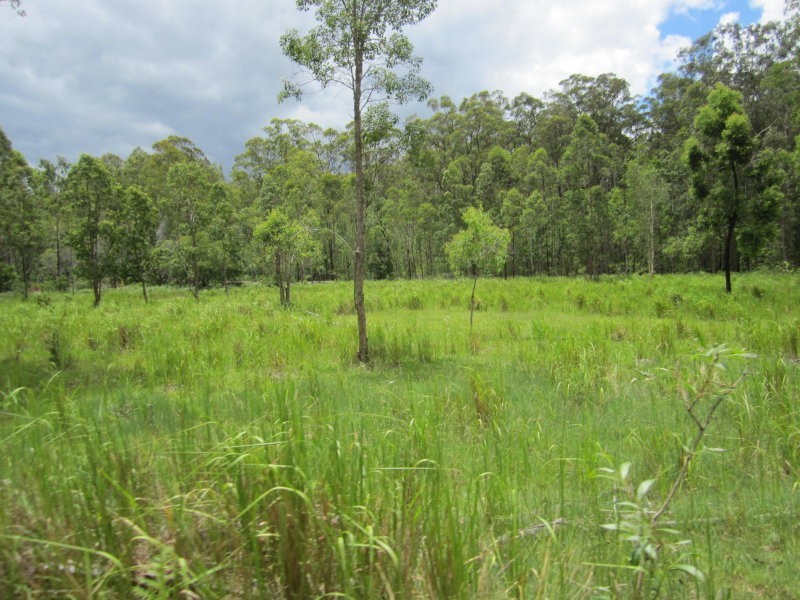 2475b Old Tenterfield Road, Wyan, Rappville NSW 2469