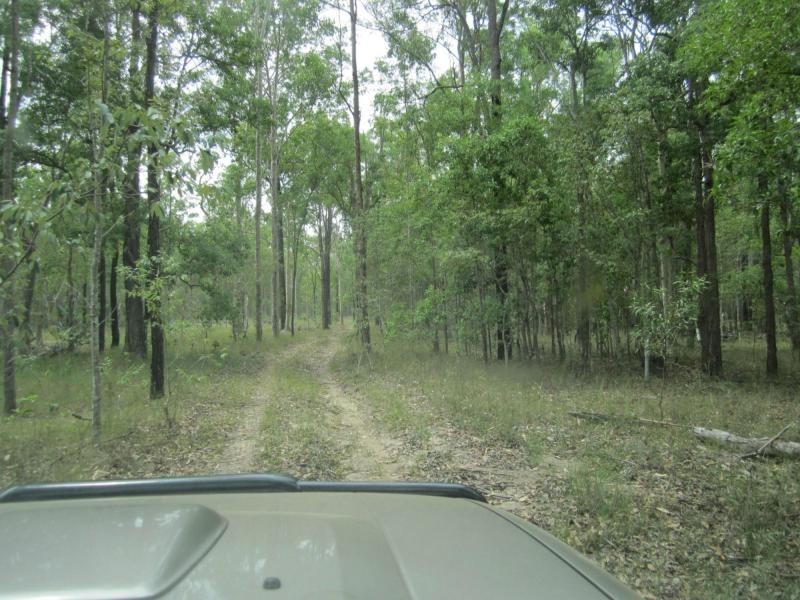 2475b Old Tenterfield Road, Wyan, Rappville NSW 2469