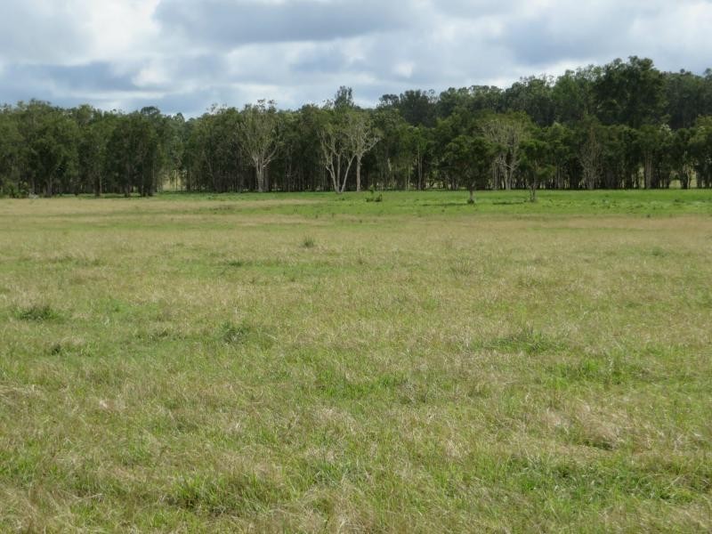 2475b Old Tenterfield Road, Wyan, Rappville NSW 2469