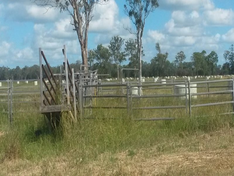 Lot 1 Perkins Bridge Road, Tatham NSW 2471