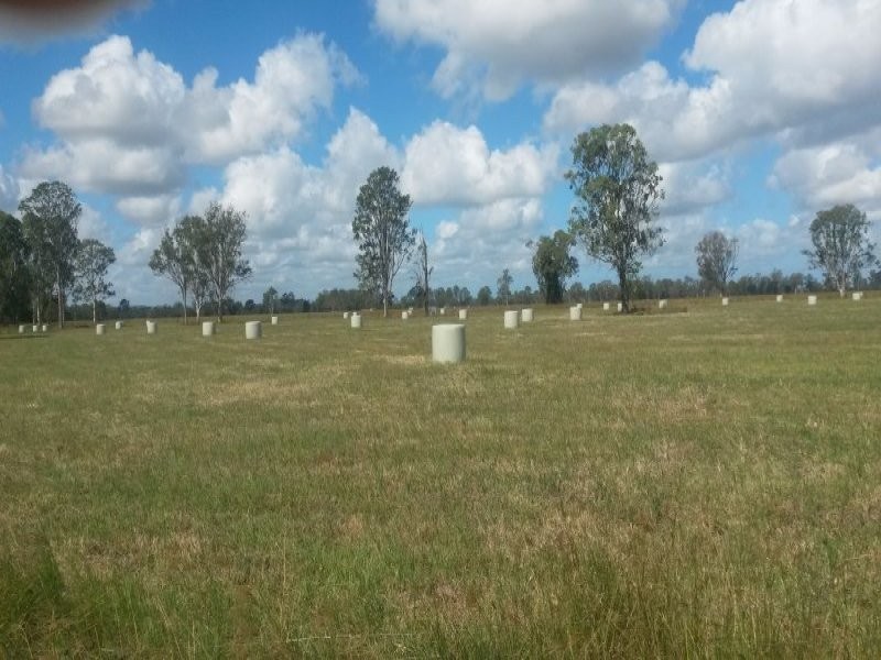 Lot 1 Perkins Bridge Road, Tatham NSW 2471