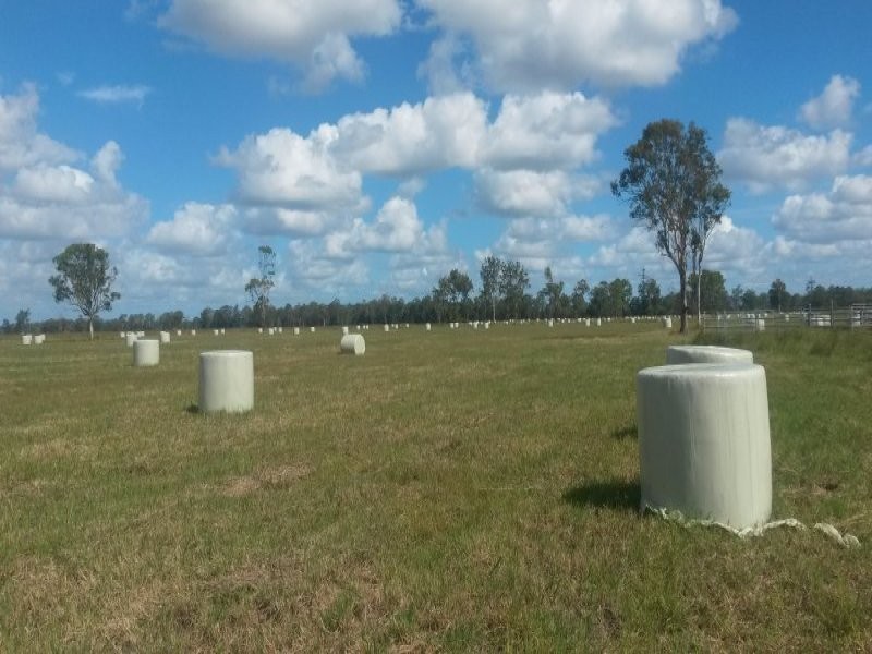 Lot 1 Perkins Bridge Road, Tatham NSW 2471