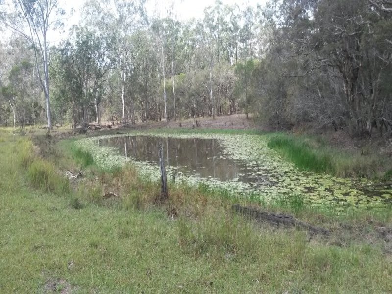 52 Ellangowan-Myrtle CkCreek Road, Casino NSW 2470