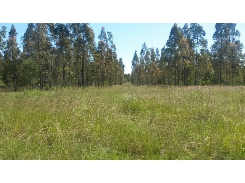 52 Ellangowan-Myrtle CkCreek Road, Casino NSW 2470