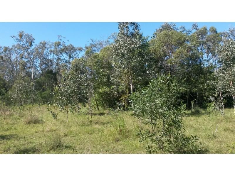 52 Ellangowan-Myrtle CkCreek Road, Casino NSW 2470