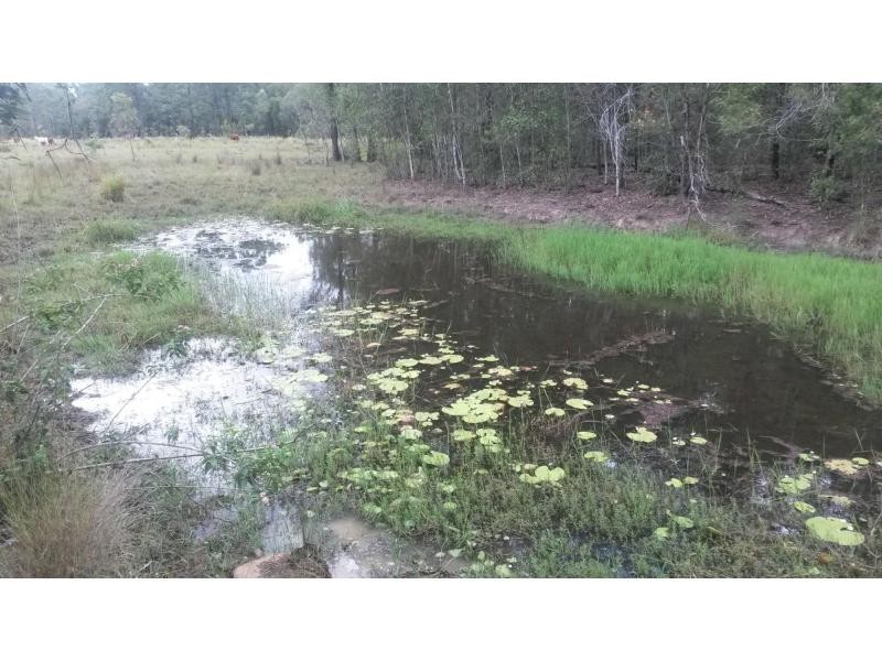 52 Ellangowan-Myrtle CkCreek Road, Casino NSW 2470