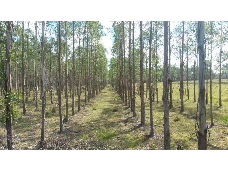 52 Ellangowan-Myrtle CkCreek Road, Casino NSW 2470