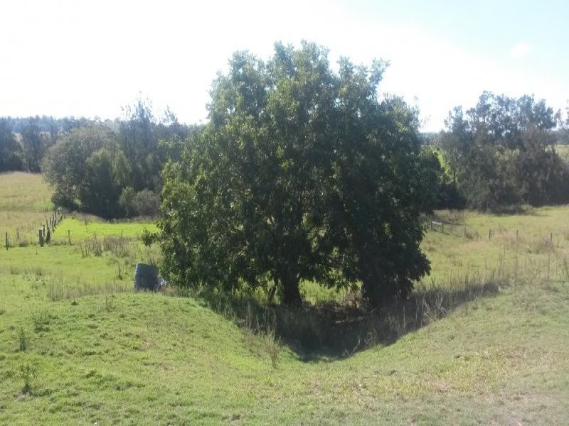 1521 Dyraaba Road, Dyraaba NSW 2470