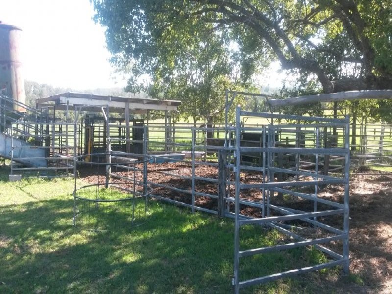 1521 Dyraaba Road, Dyraaba NSW 2470