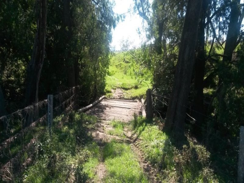 1521 Dyraaba Road, Dyraaba NSW 2470