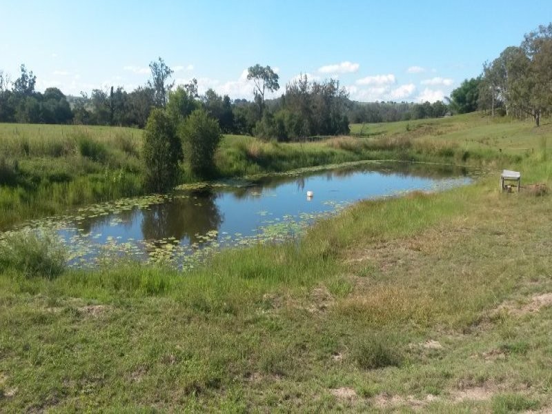 1521 Dyraaba Road, Dyraaba NSW 2470