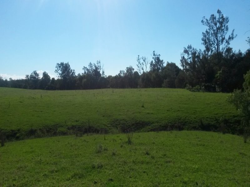 1521 Dyraaba Road, Dyraaba NSW 2470