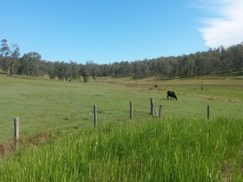 1521 Dyraaba Road, Dyraaba NSW 2470