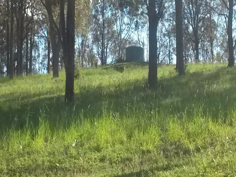 1521 Dyraaba Road, Dyraaba NSW 2470