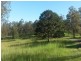 1521 Dyraaba Road, Dyraaba NSW 2470