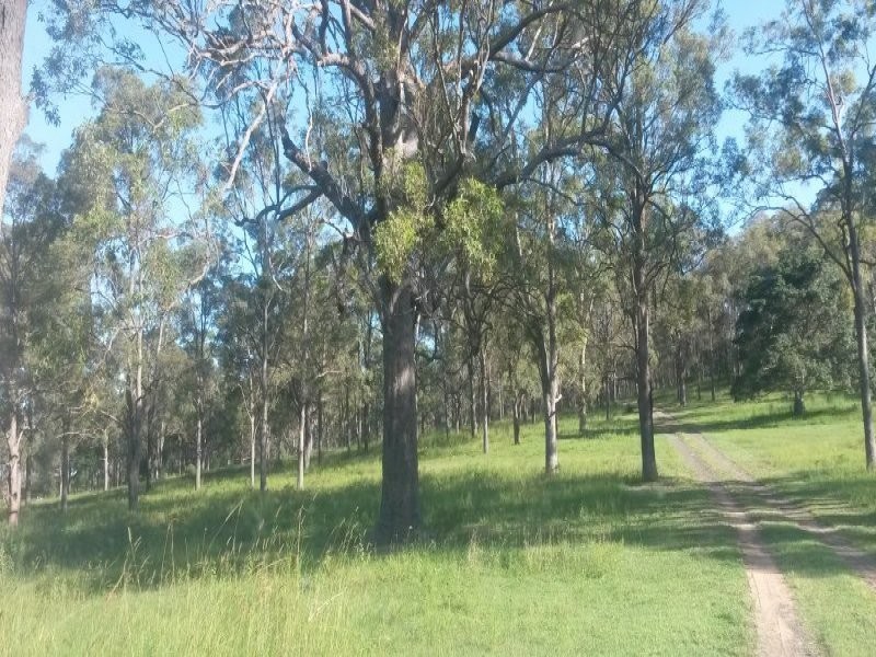 1521 Dyraaba Road, Dyraaba NSW 2470