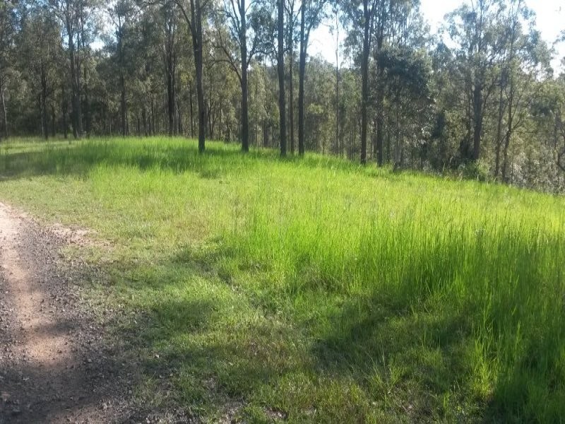 1521 Dyraaba Road, Dyraaba NSW 2470