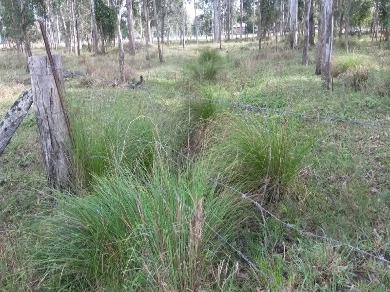 Lot 299 Ellangowan Road, Casino NSW 2470