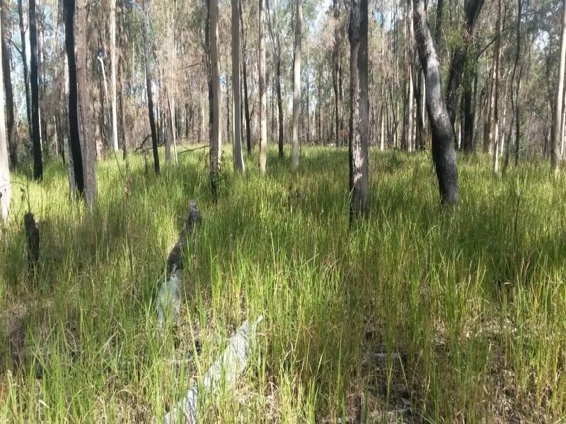 Lot 144 Sugarbag Road, Tabulam NSW 2469