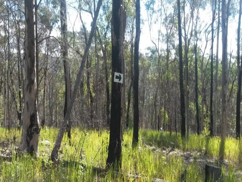Lot 144 Sugarbag Road, Tabulam NSW 2469