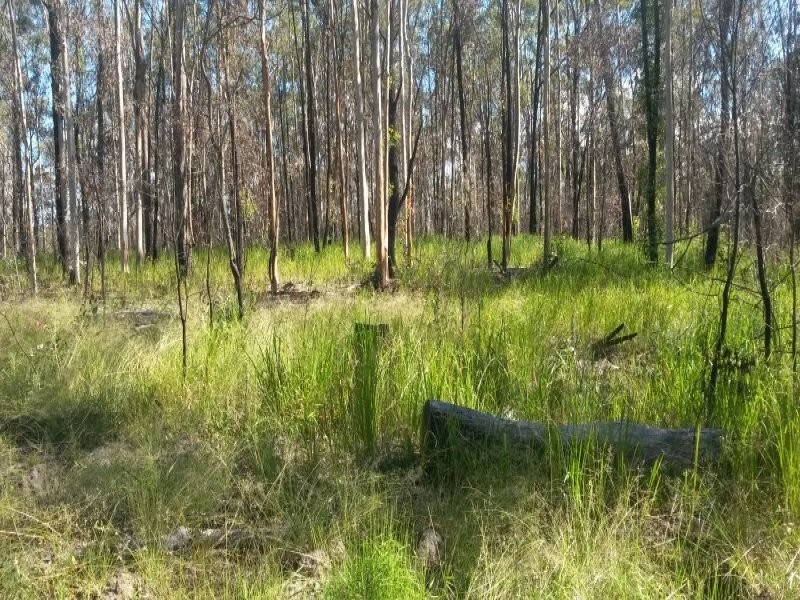 Lot 144 Sugarbag Road, Tabulam NSW 2469