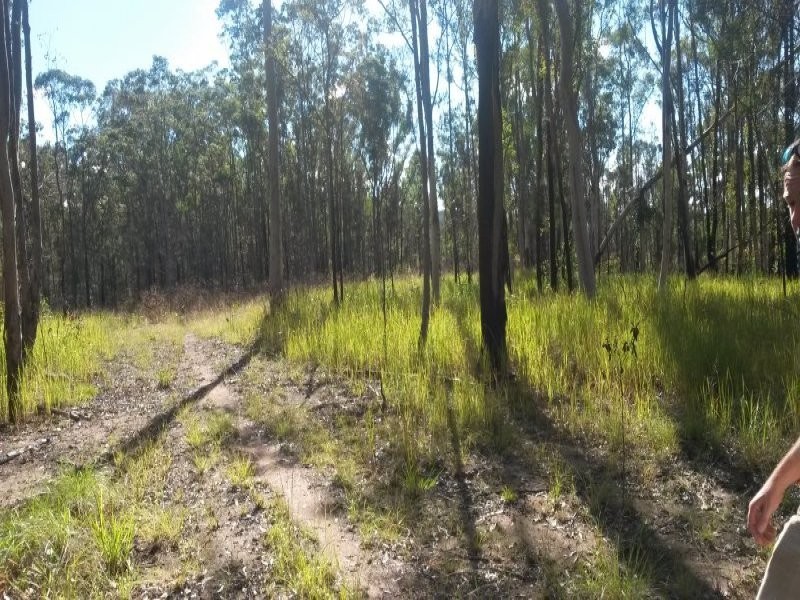 Lot 144 Sugarbag Road, Tabulam NSW 2469