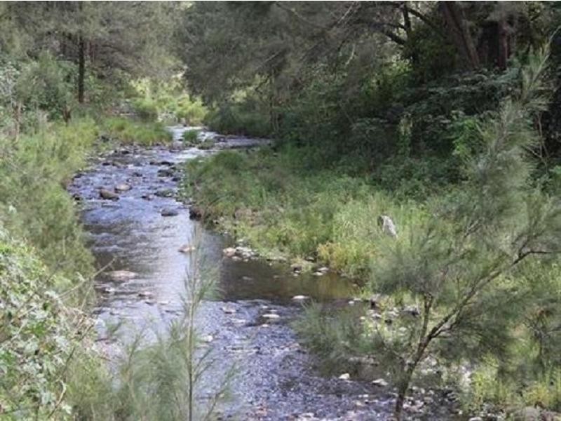 L21 Bendalls Road, VIA FINDON CREEK, Kyogle NSW 2474