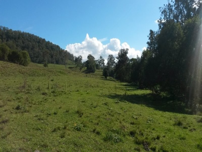 L21 Bendalls Road, VIA FINDON CREEK, Kyogle NSW 2474